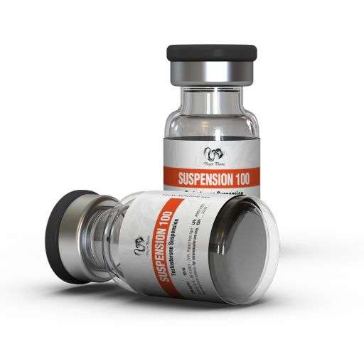 SUSPENSION-100.jpg